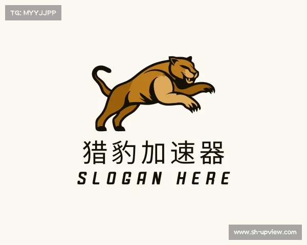 介绍猎豹加速器